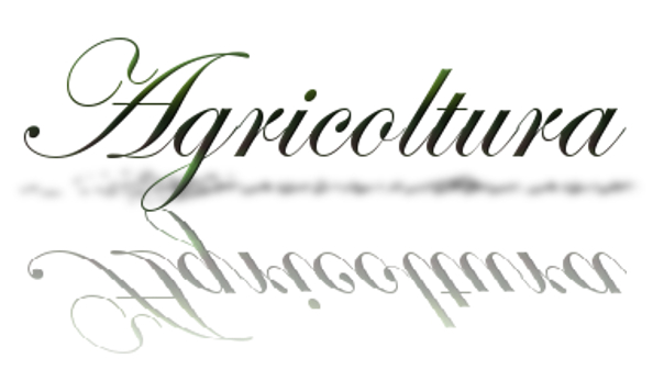 agricoltura